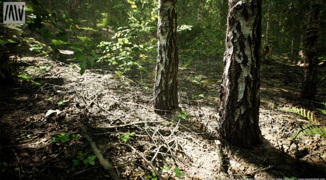 Here is a beautiful forest map in Unreal Engine 5 with Lumen and Nanite